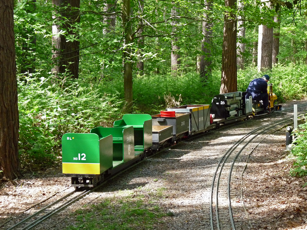 The freight train in the woodland