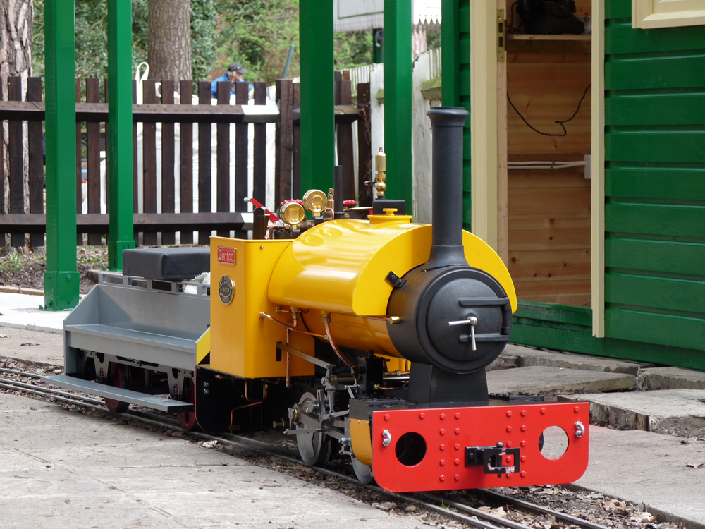 Stafford Steam Locomotive Gentoo at the Pinewood Miniature Railway