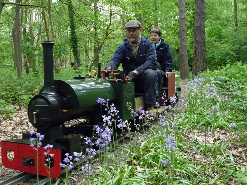A Stafford among the Bluebells